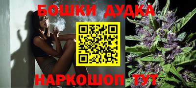индика Ливны