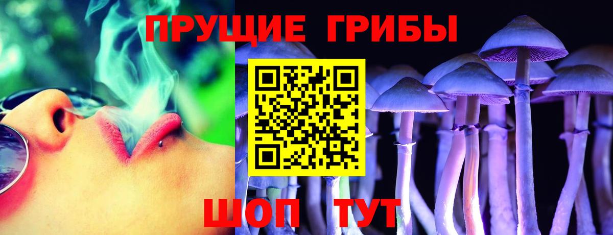 Гатчина  Галлюциногенные грибы Magic Shrooms  Вход с VPN  Галлюциногенные грибы прущие грибы 